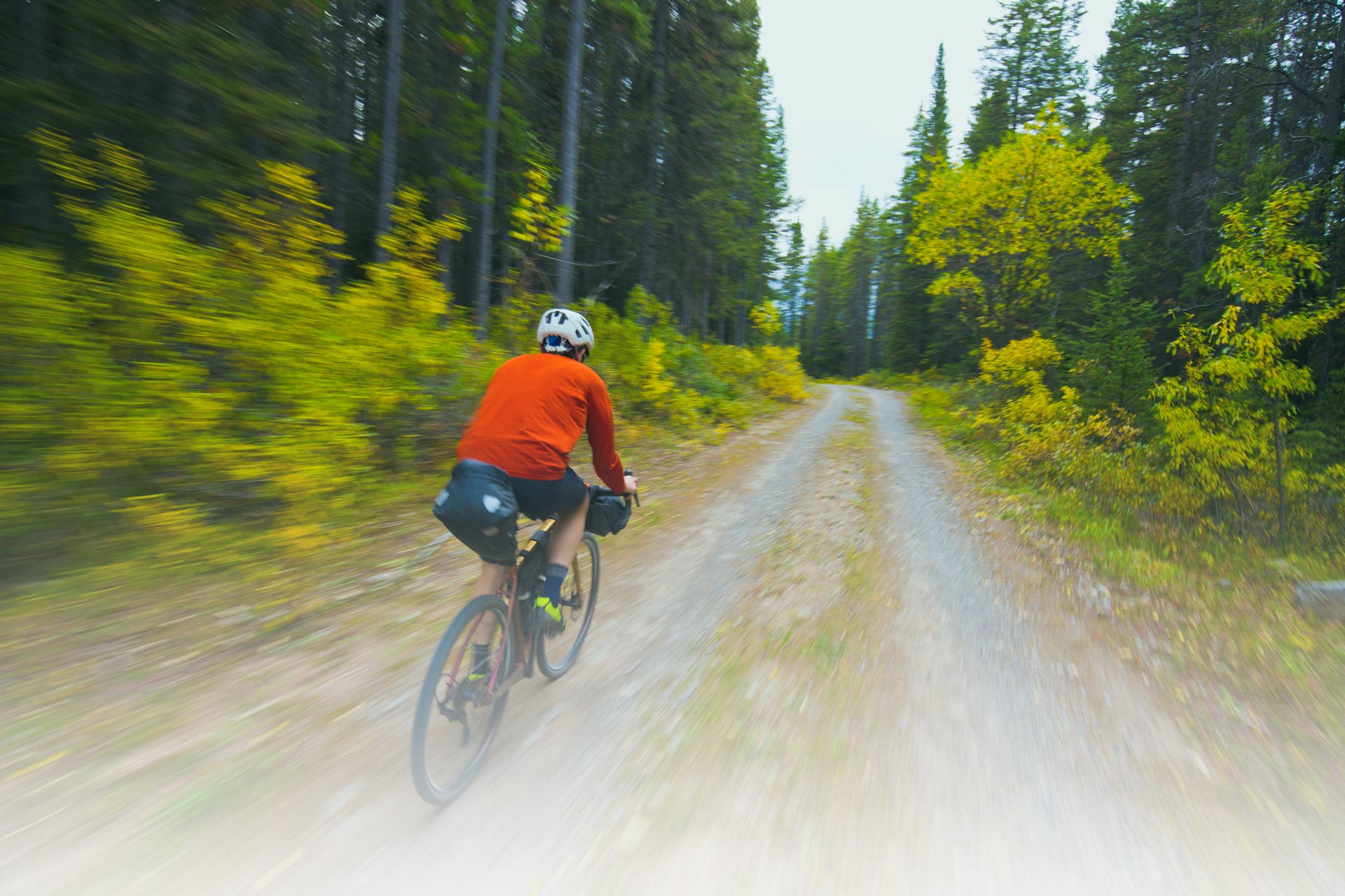 Cyclist riding through the woods.